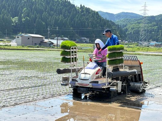 福井県永平寺町　田植え体験✨　～大阪　寝屋川　お米屋さん～